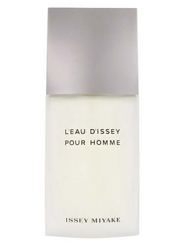L'Eau Dissey Pour Homme Issey Miyake - Perfume Masculino 125ML - Image 2